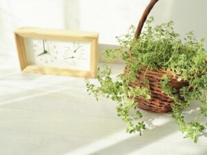 HPV（ヒトパピローマウイルス感染症）ワクチン接種